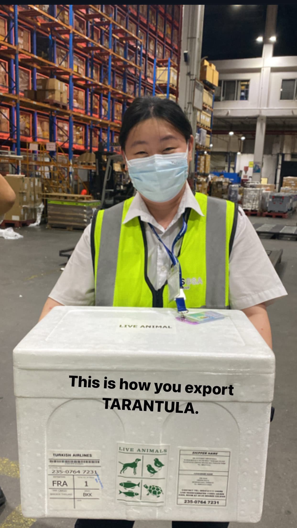 Cargo handling or airport environment